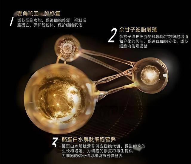蓝莓外汇平台开户百花齐放春满园——兴义五中体教融合促进院校高质量特色推动